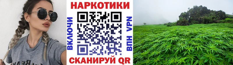 Наркошоп Заринск Гашиш  КОКАИН  Меф  Псилоцибиновые грибы  Канабис  АМФ 