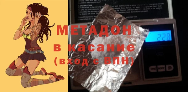 прущие грибы Абаза