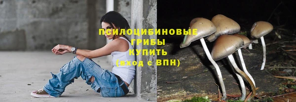 прущие грибы Абаза