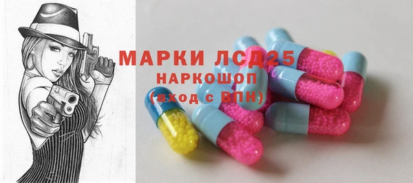 прущие грибы Абаза