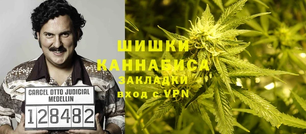прущие грибы Абаза