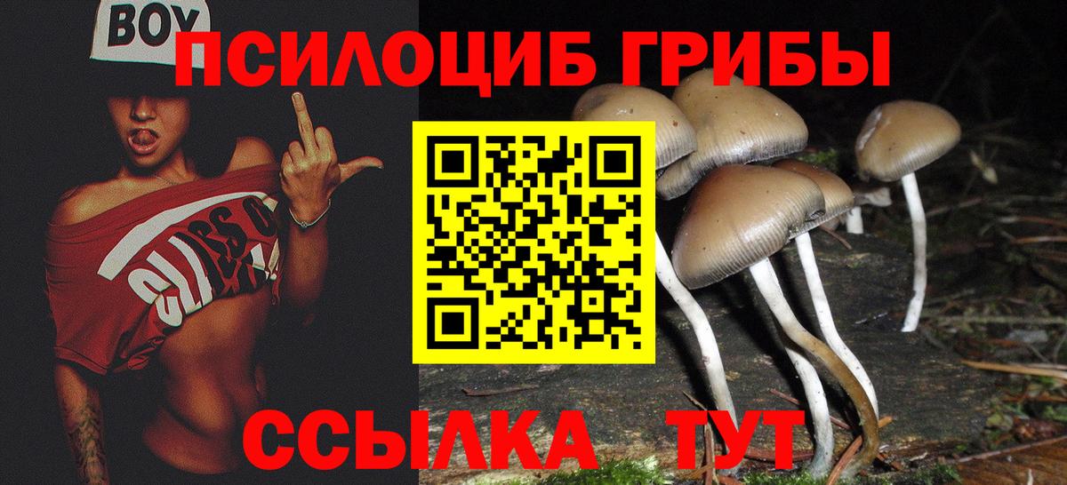 Заринск  Псилоцибиновые грибы ЛСД  Вход с VPN 